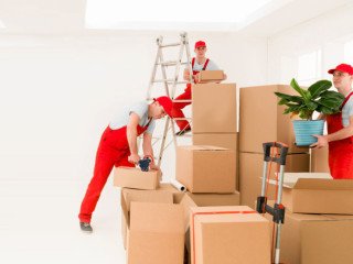 House Movers Packers Al Karama Dubai 0559972621